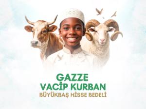 GAZZE VACİP KURBAN BAĞIŞI (BÜYÜKBAŞ HİSSE)