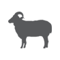 Kurban